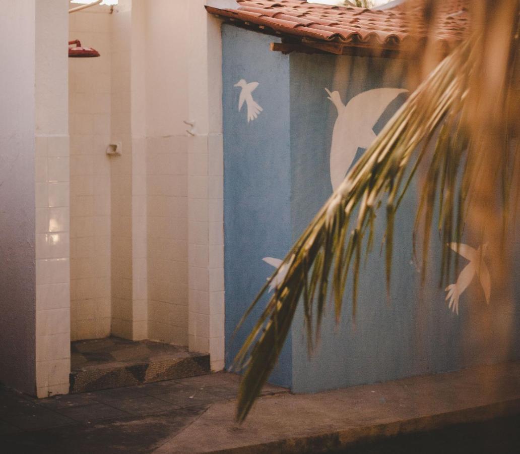 4 Quartos Ao Lado Da Praia Do Patacho Villa Pôrto de Pedras Eksteriør billede